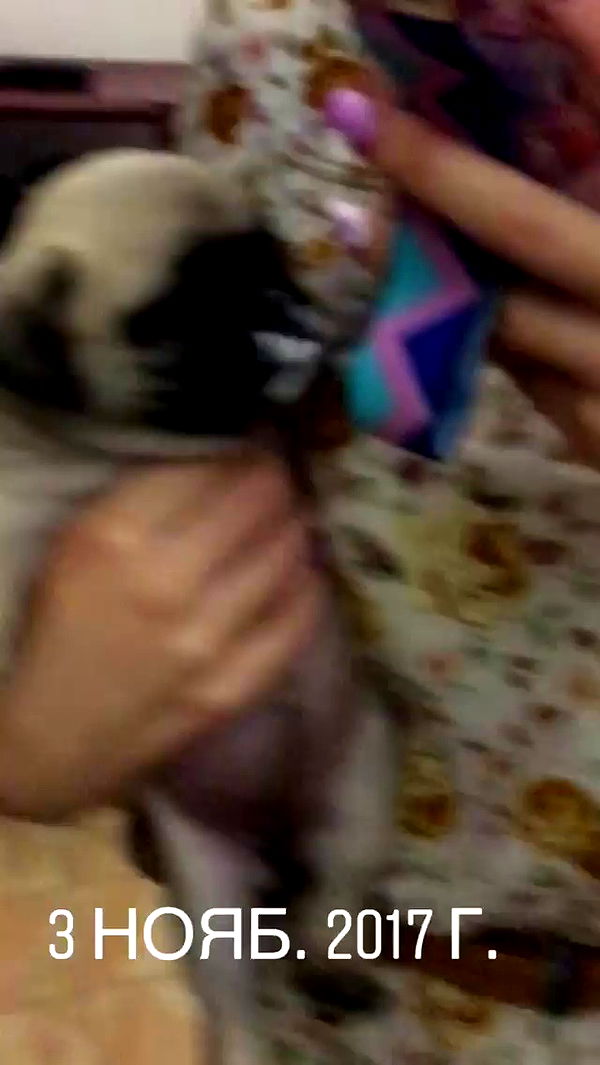 nyityam archive video preview