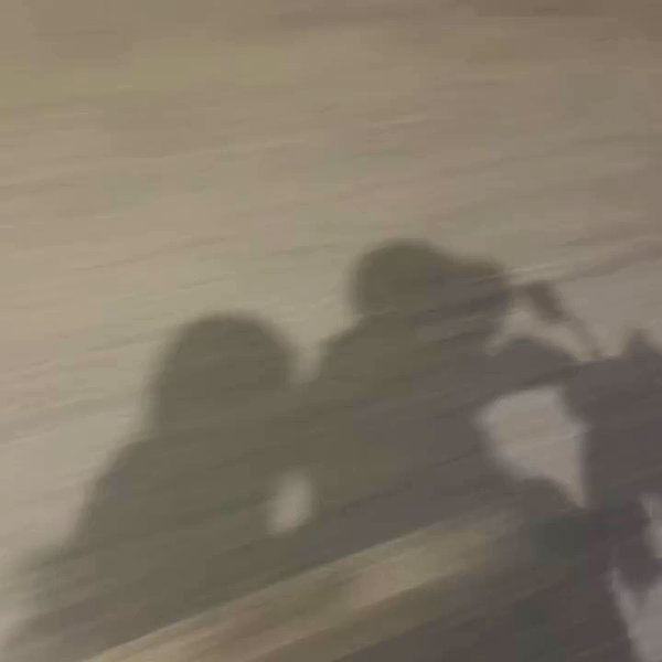 indenavarrette archive video preview