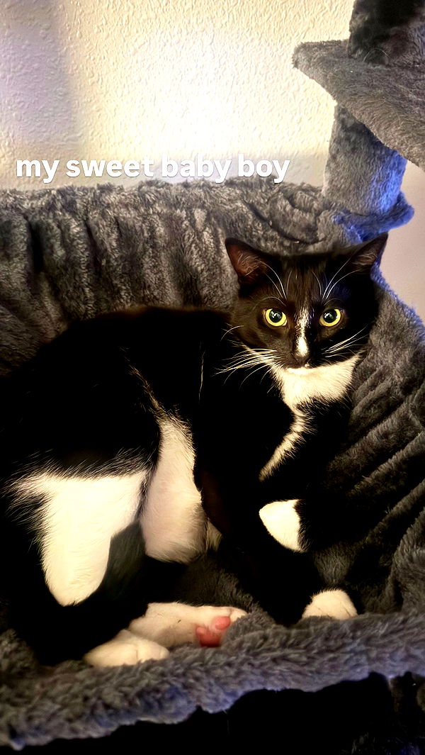 6nattynat9 archive video preview