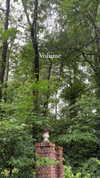 elizabethcampbelljones Altpins Profile Picture