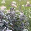 may.kaminski Altpins Profile Picture