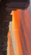 mai_glazer Altpins Profile Picture