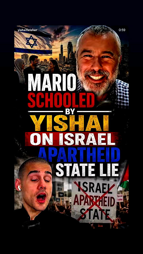sapir_shemer archive video preview