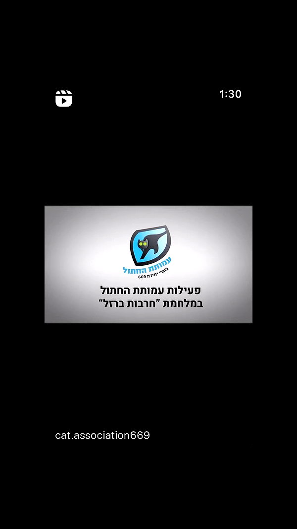 rei.sigalov archive video preview