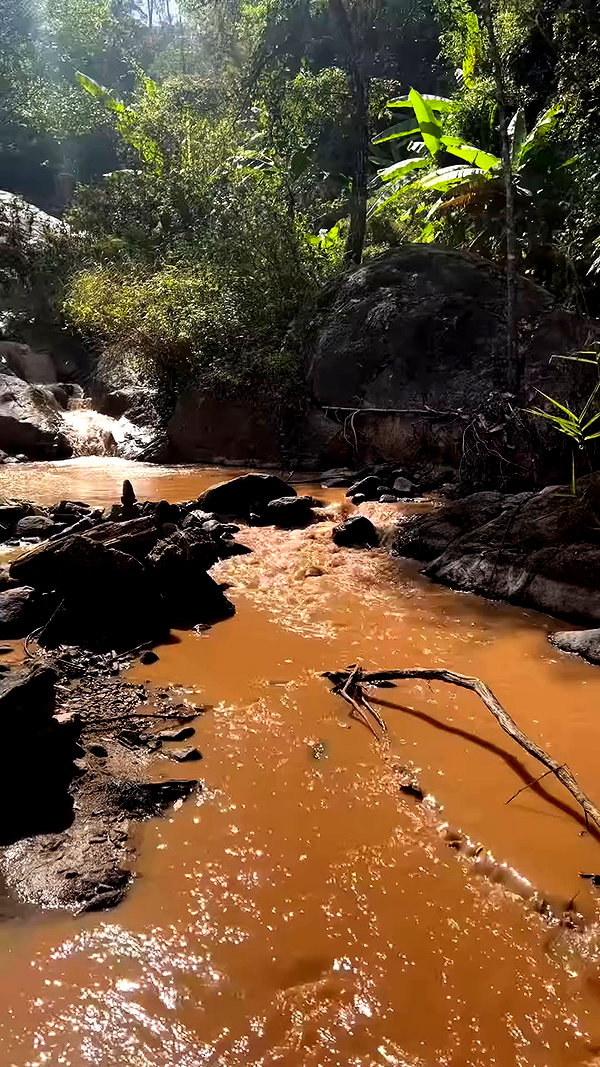 yulia.isakov archive video preview
