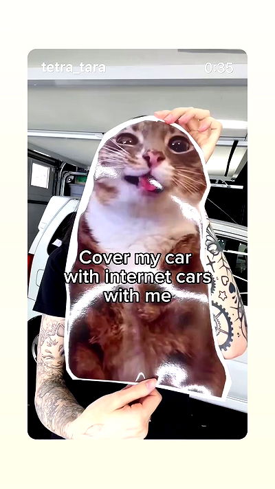 noale4774 noale4774 archive video