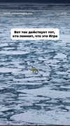 nomagdalina Altpins Profile Picture