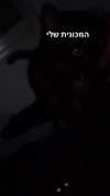 vadim_evs Altpins Profile Picture