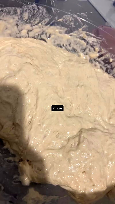 rebecka_tsadok rebecka_tsadok archive video