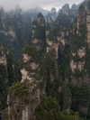 vollkova__ Altpins Profile Picture