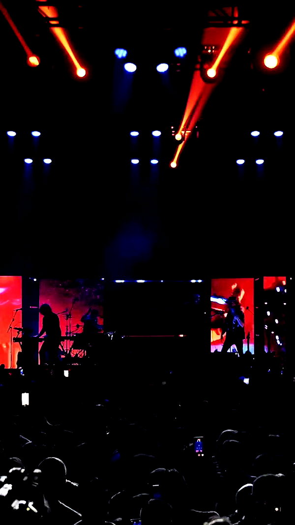 bobmosesmusic archive video preview