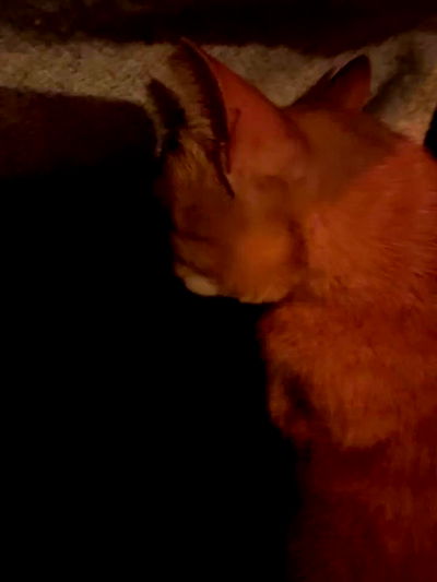 mishel116 mishel116 archive video