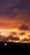 ann.shellll Altpins Profile Picture