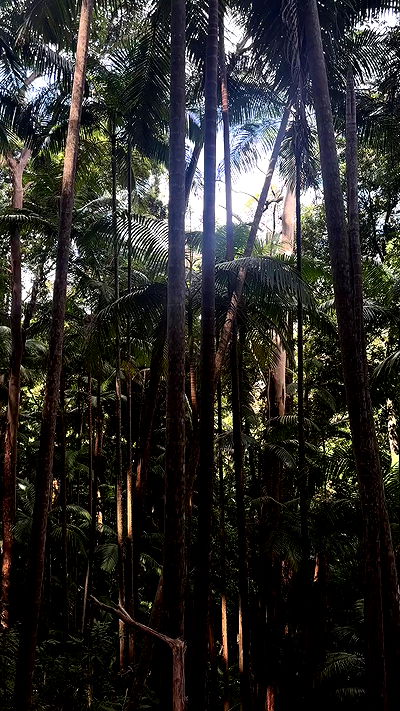 taylor.creeden taylor.creeden archive video