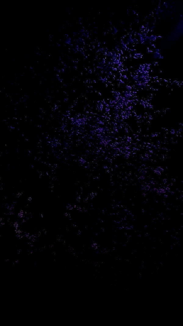 yule4kamraz archive video preview