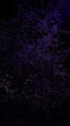 yule4kamraz Altpins Profile Picture