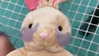 milliebobbybrown Altpins Profile Picture