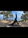 gritsa.k Altpins Profile Picture