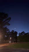 elizabethcampbelljones Altpins Profile Picture