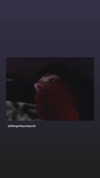 alien.hanna Altpins Profile Picture