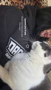livindeadyaz Altpins Profile Picture