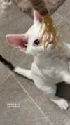 jiw_____n Altpins Profile Picture