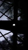 elizabethcampbelljones Altpins Profile Picture
