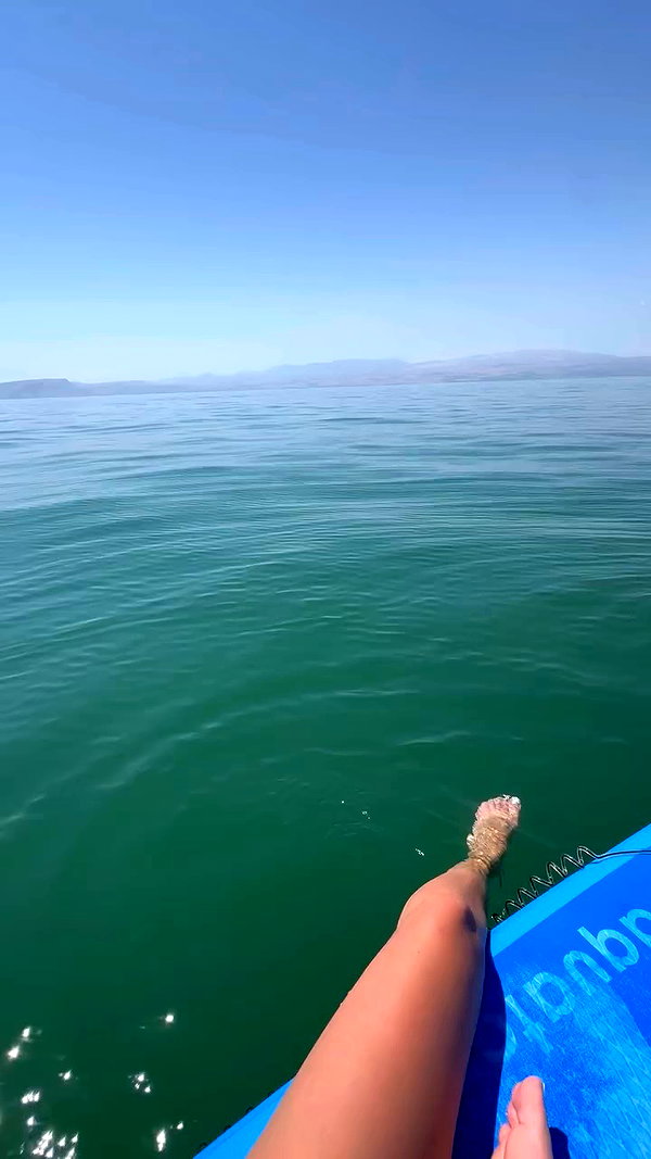 michal_cohen017 archive video preview