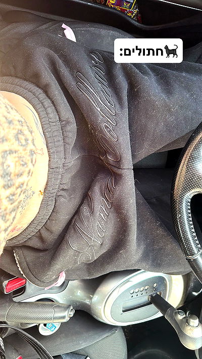 strawberryshanz strawberryshanz archive video