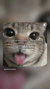 cyber.rue Altpins Profile Picture
