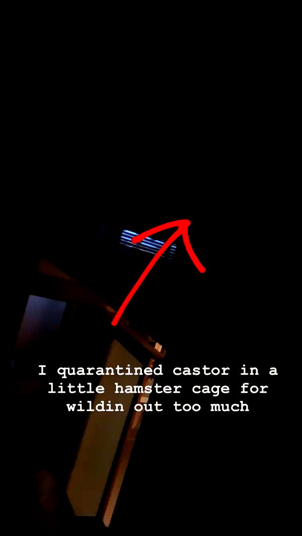 dearestsinner archive video preview
