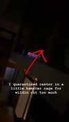 dearestsinner Altpins Profile Picture