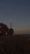 _zzzeus05_ Altpins Profile Picture