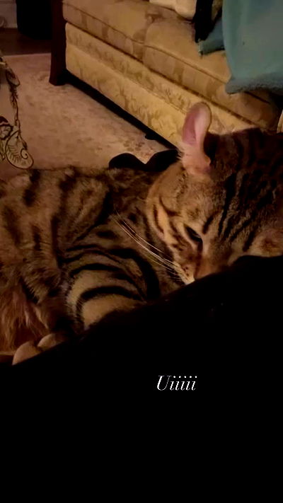 laurinchhhe laurinchhhe archive video