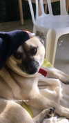 evasela__ Altpins Profile Picture