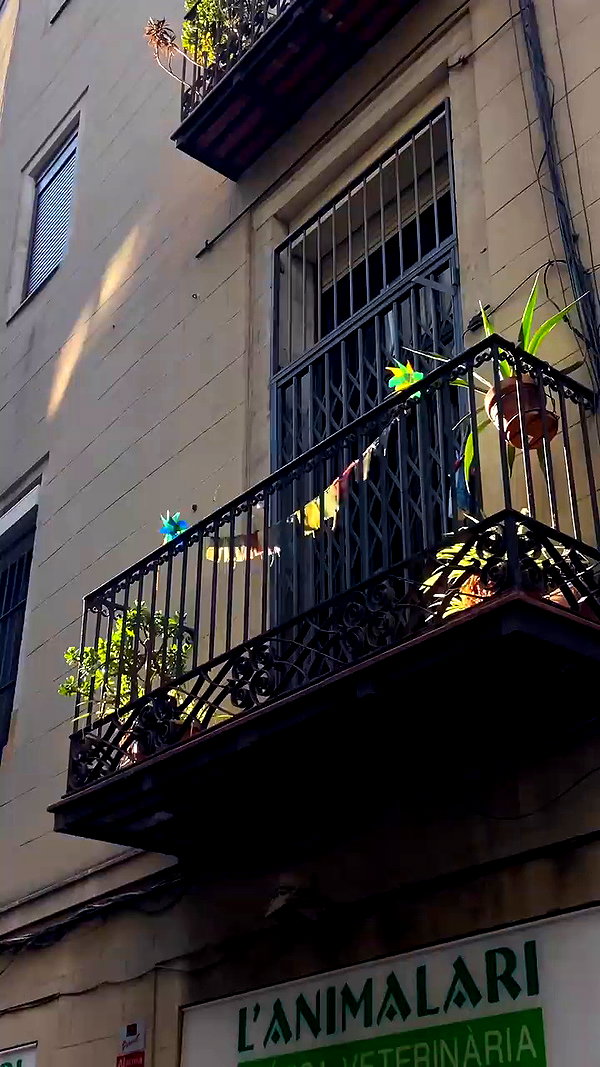 biancanataliie archive video preview