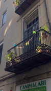 biancanataliie Altpins Profile Picture