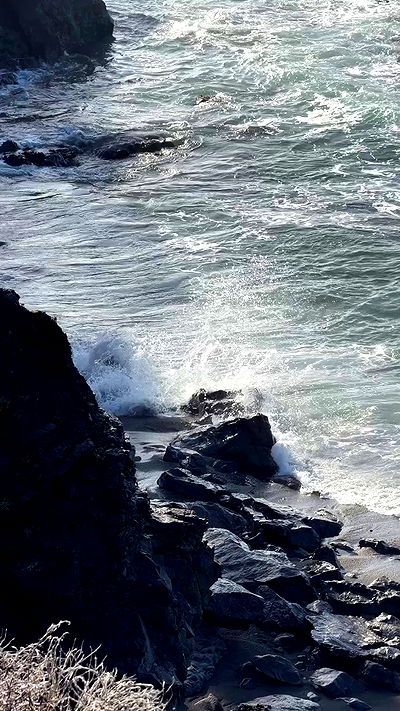 carolinezalog carolinezalog archive video