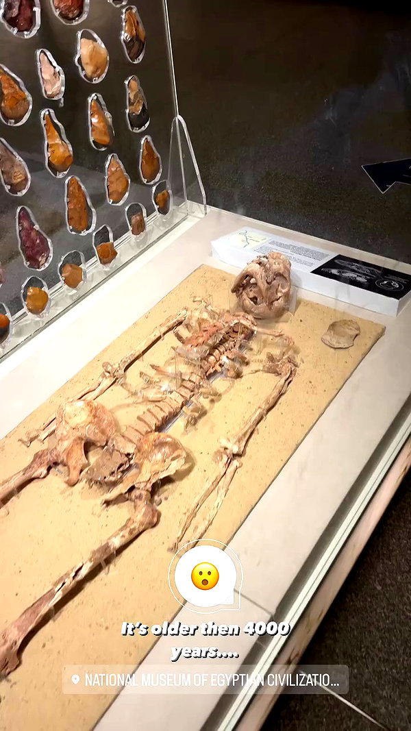 levsave archive video preview