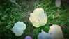 katehudson Altpins Profile Picture