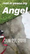 missbrisolo Altpins Profile Picture
