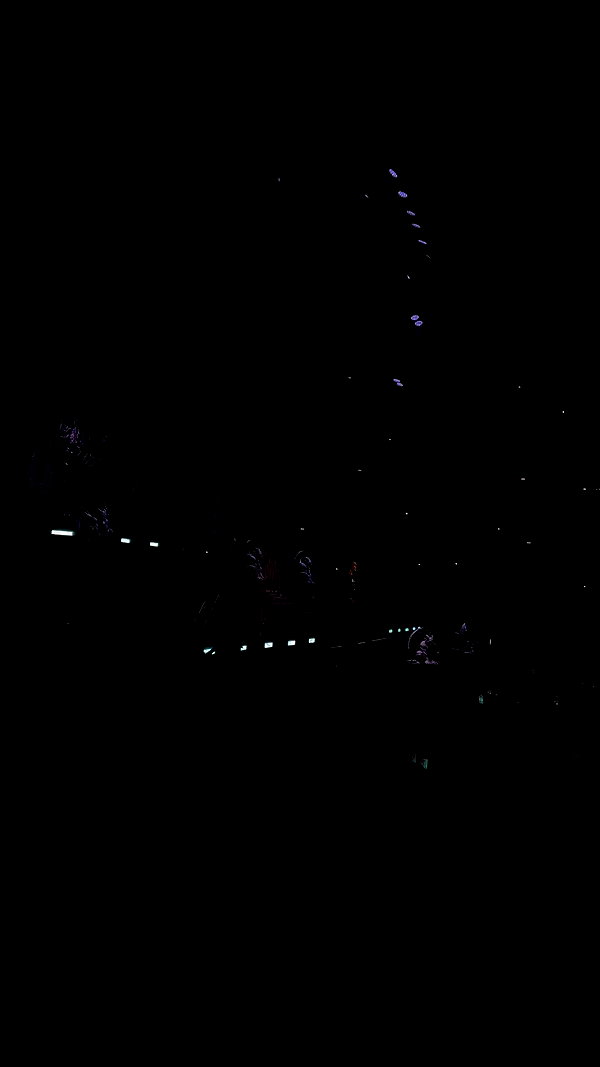 giulia_tosini_ archive video preview