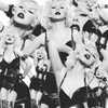 xtina Altpins Profile Picture