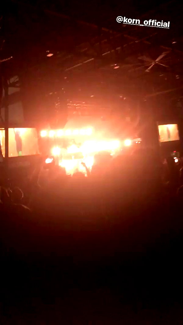iluvmeww archive video preview