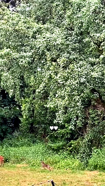 manjolamuriqi manjolamuriqi archive video