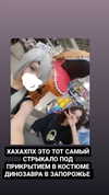 cospxreiw Altpins Profile Picture