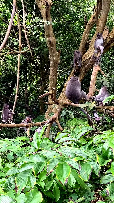 taylor.creeden taylor.creeden archive video