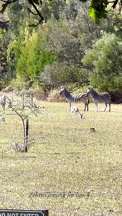 taylor.creeden taylor.creeden archive video