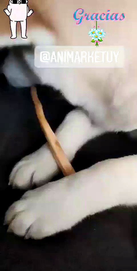 ruth_chavarri archive video preview