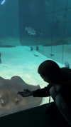 mishel_d_ Altpins Profile Picture